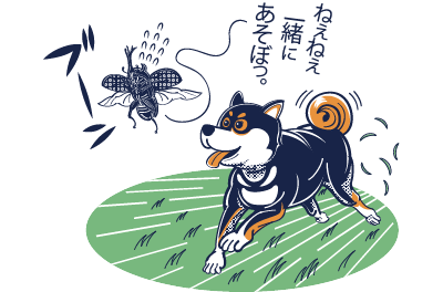 あそぶ